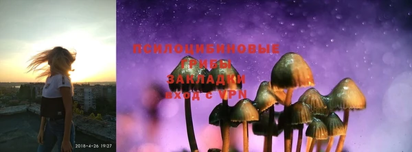 PSILOCYBIN Зеленокумск