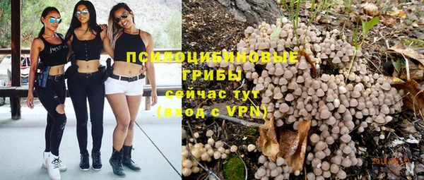 PSILOCYBIN Зеленокумск